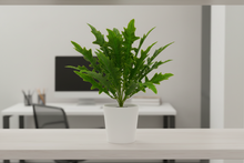 Artificial fork spring feather grass (Height : 35 cm)