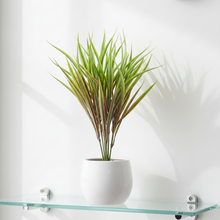 Artificial Lemon Grass Bunch (Height : 32 x Width : 20 cm)