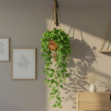 Artificial Leaves Touchfeel Falling 9 branch (Height : 70 cm )