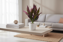 Artificial Lily Leaves (Height 35 cm x Width 20 cm)