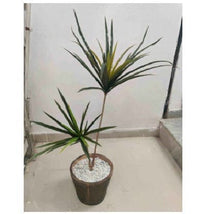 Artificial 2 Branch Spider Plant (90 cm)