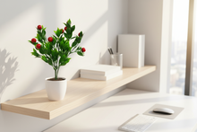 Artificial Fruit Bunch Plant (Height -30cm x Width -20cm)