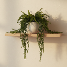 Artificial Hanging Latex Fern (Height -30cm x Width -10cm)