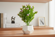 Artificial Rubber Rose Plant (Height -32cm x Width -20cm)