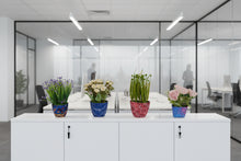 Artificial Potted Plants &Flowers ( Set of 4) (size 15to32cm)