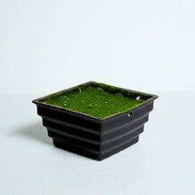 Step Pot Black Size - (in cms) :  Height-6 x Width-11.5 x Depth-11.5