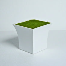 Ruby Pot White Size - (in cms) :  Height-9.5 x Width-10 x Depth-10