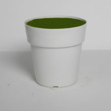 Big Cone Pot White Size - (in cms) :  Height-13 x Width-13 x Depth-13