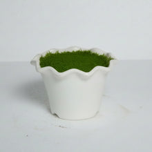 Small Blossom Pot Size - (in cms) :  Height-7 x Width-10.5 x Depth-10.5