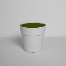 Small Cone Pot White Size - (in cms) :  Height-10.5 x Width-11 x Depth-11