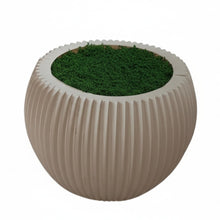 Gol Plastic Pot - White Size - (in cms) :  Height-9 x Width-11 x Depth-11