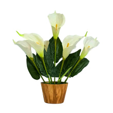 Artificial Flower Calla Lilly with Wood Pot Perfect for Home and Office Décor
