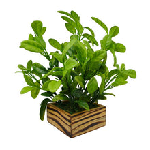 Fancy Mart Artificial Citrus Lime Plant with Wood Pot (Green)