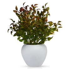 fancymart Artificial Latex Plant Big in Apple Pot (Brown)