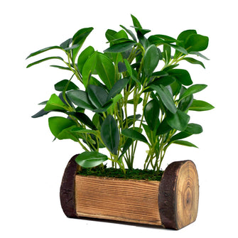 Artificial Plant in Buckle Wood Pot