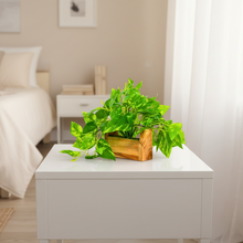 fancymart Artificial Money Plant with Woodlog Pot with Height 18 cm use as a Hanging or Tabletop for Home & Office Décor