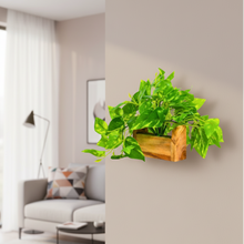 fancymart Artificial Money Plant with Woodlog Pot with Height 18 cm use as a Hanging or Tabletop for Home & Office Décor