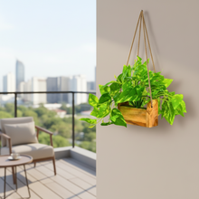 fancymart Artificial Money Plant with Woodlog Pot with Height 18 cm use as a Hanging or Tabletop for Home & Office Décor