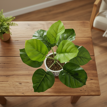 Artificial Plant with 9 Leaves Heads without pot (Height : 30 x Width : 30 cm)