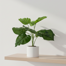 Artificial Plant with 9 Leaves Heads without pot (Height : 30 x Width : 30 cm)