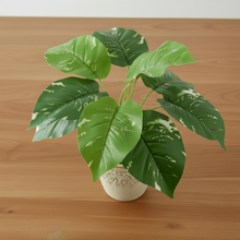 Artificial Plant with 9 Leaves Heads without pot (Height : 30 x Width : 30 cm)