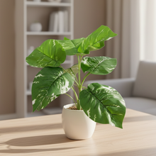 Artificial Plant with 9 Leaves Heads without pot (Height : 30 x Width : 30 cm)