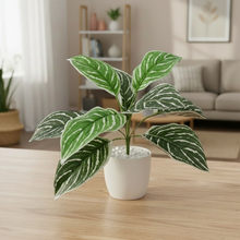 Artificial Plant with 9 Leaves Heads without pot (Height : 30 x Width : 30 cm)
