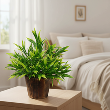 Artificial Plant Bamboo (28 cm/ 11 inchs) in Wood round big pot