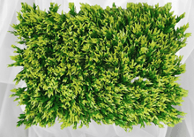 Wall mat -Green Leaves ( 24 * 16 Inch)