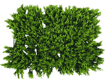 Wall mat -Green Leaves ( 24 * 16 Inch)