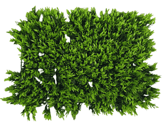 Wall mat -Green Leaves ( 24 * 16 Inch)