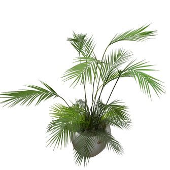 4 feet + 1 feet Artificial Pam plant Pair (without pot)