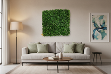 Wall Mat - Green Wall Design  - size  36*36 inch (out door)