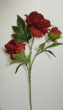 Artificial Flower Stick Common Peony without Pot ( Height : 65cm / Width : 25cm) (Single Stick)