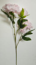 Artificial Flower Stick Common Peony without Pot ( Height : 65cm / Width : 25cm) (Single Stick)