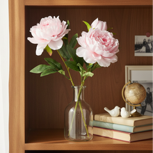 Artificial Flower Stick Common Peony without Pot ( Height : 65cm / Width : 25cm) (Single Stick)