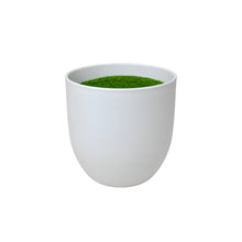 Filled pot