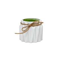 Filled pot