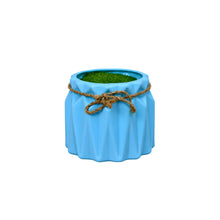 Filled pot