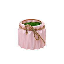 Filled pot