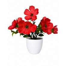single pc small glassi pot 10 blossom cutting flowers