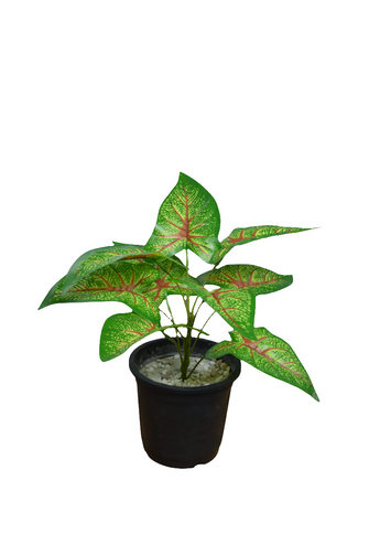 32 cm Artificial lily  leaves plant 9 Branches