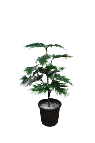 Artificial  53 CM Pam Leaves plant 3 branches Height