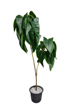 Artificial Lily Leaves plant 2 branches Height 90 CM
