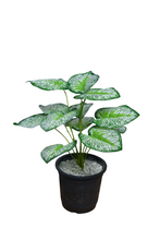 Artificial Leaves plant 12 branches Height 35 CM