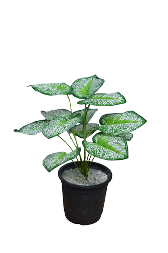 Artificial Leaves plant 12 branches Height 35 CM