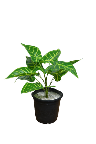 32 cm Artificial lily  leaves plant 9 Branches