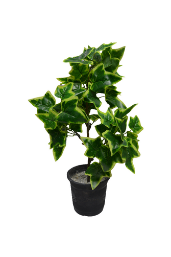 Artificial  53 CM Real touch feel Leaves plant 3 branches