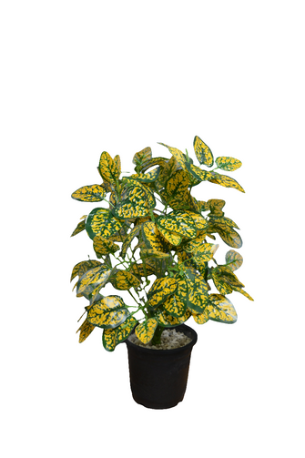 Artificial croton Leaves plant 18 branches Height 51 CM