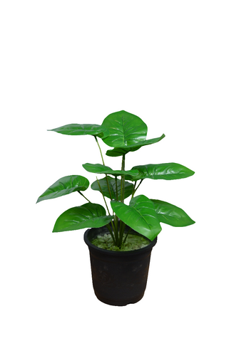 Artificial Leaves plant 12 branches Height 35 CM